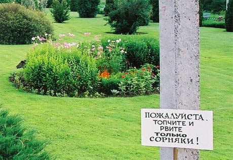 Белорусская толерантность - Страница 2 20100111-14
